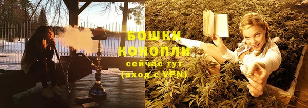 прущие крисы Аркадак