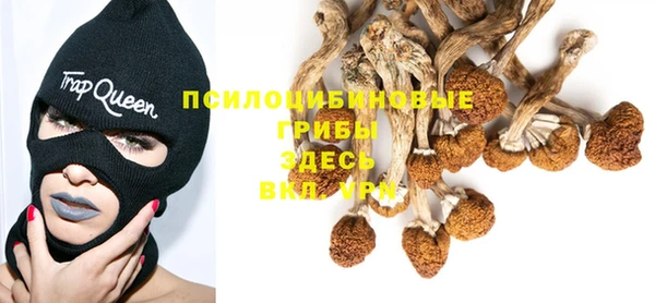 прущие крисы Аркадак