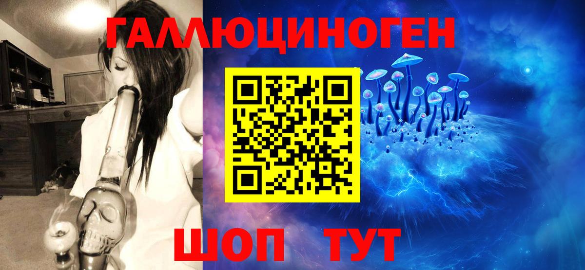 Псилоцибиновые грибы мицелий Ступино