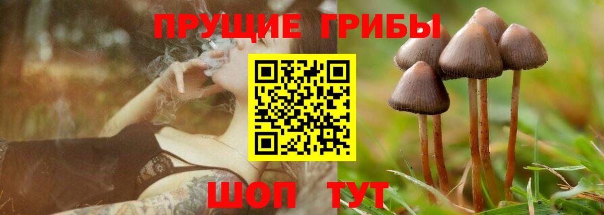 Ступино  купить  сайты  Галлюциногенные грибы Cubensis  Вход с VPN  Галлюциногенные грибы MAGIC MUSHROOMS 